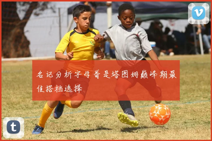 名记分析字母哥是塔图姆巅峰期最佳搭档选择
